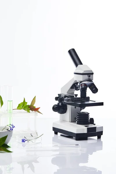 白色で隔離された植物や顕微鏡の近くのガラス試験管 — ストック写真