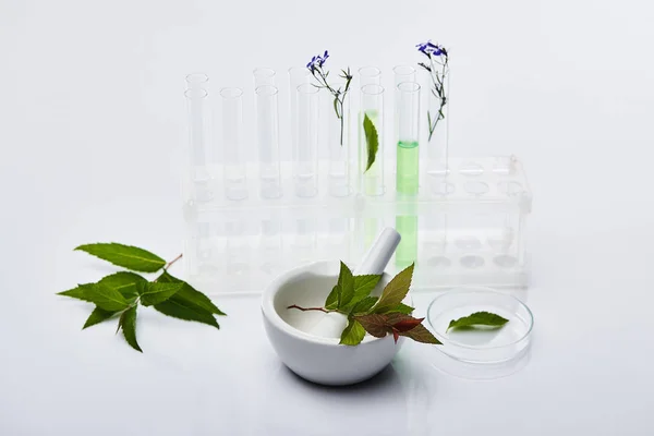 植物の近くの液体と白いテーブルの上の小石とモルタルのガラス試験管 — ストック写真