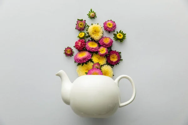 Top View Asters Teapot White Background — Stock Photo, Image