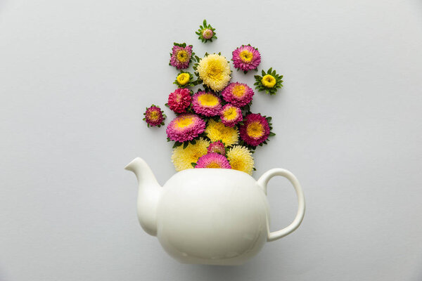 верхний вид астеры над чайник на белом фоне
