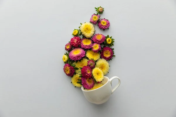 Top View Asters Cup White Background — Stock Photo, Image