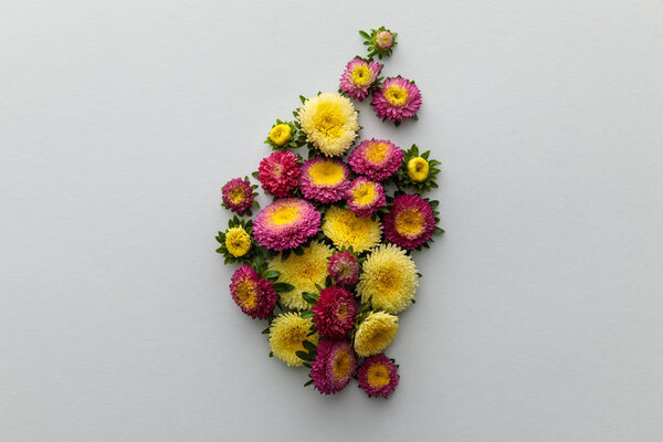 вид сверху на желтый и фиолетовый астеры на белом фоне
