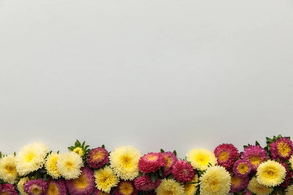 Bovenaanzicht Van Gele Paarse Asters Witte Achtergrond Met Kopieerruimte — Stockfoto