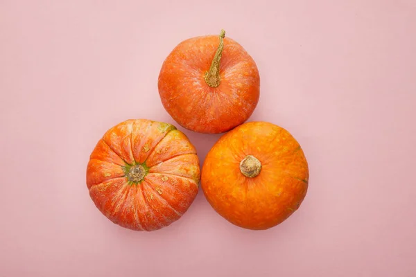 Vista Dall Alto Della Zucca Sfondo Rosa Decorazione Halloween — Foto Stock