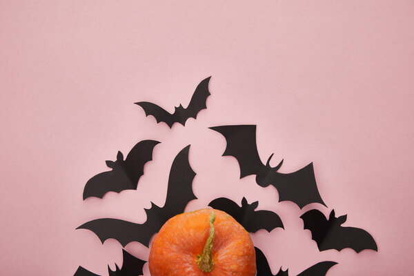 top view of pumpkin and paper bats on pink background, Halloween decoration