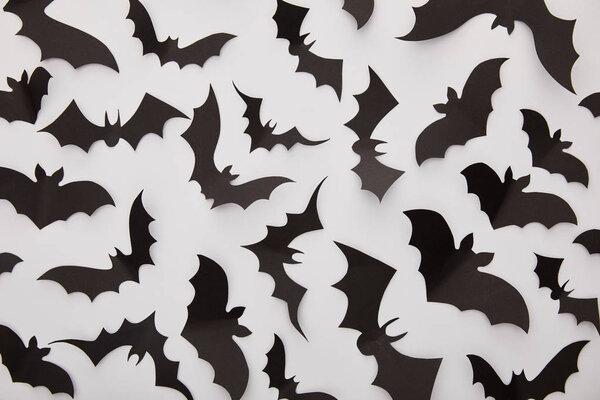 верхний вид бумаги черные летучие мыши на белом фоне, Хэллоуин украшения
