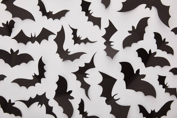 top view of paper black bats on white background, Halloween decoration