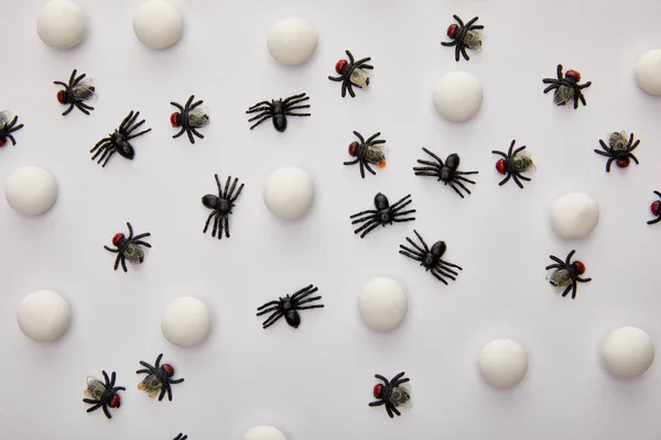Vista Superior Moscas Arañas Sobre Fondo Blanco Decoración Halloween —  Fotos de Stock
