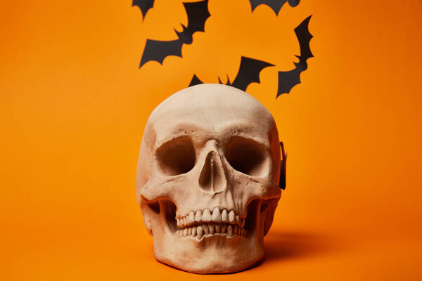 paper bats and human skull on orange background, Halloween decoration