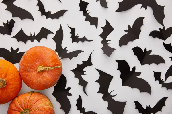 Vista Superior Calabazas Murciélagos Papel Sobre Fondo Blanco Decoración Halloween — Foto de Stock