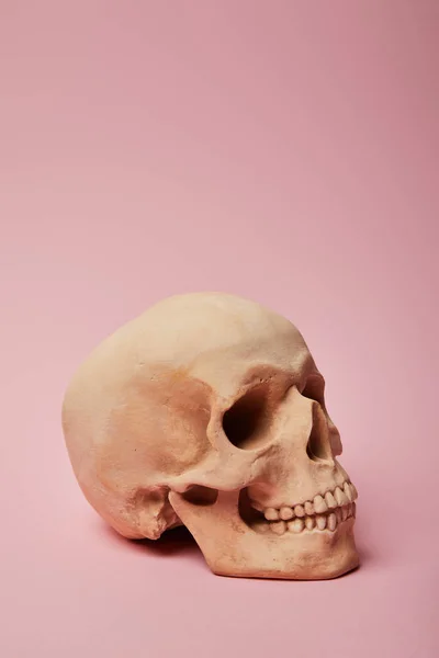 Gruseliger Menschlicher Totenkopf Auf Rosa Hintergrund Halloween Dekoration — Stockfoto