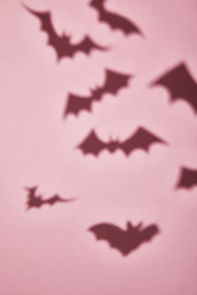 Sombra Murciélagos Voladores Sobre Fondo Rosa Decoración Halloween — Foto de Stock