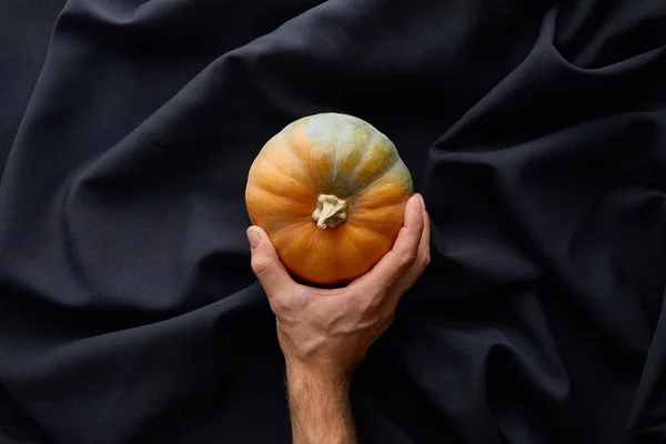 Cropped View Man Holding Ripe Whole Colorful Pumpkin Black Cloth — Stock Photo, Image