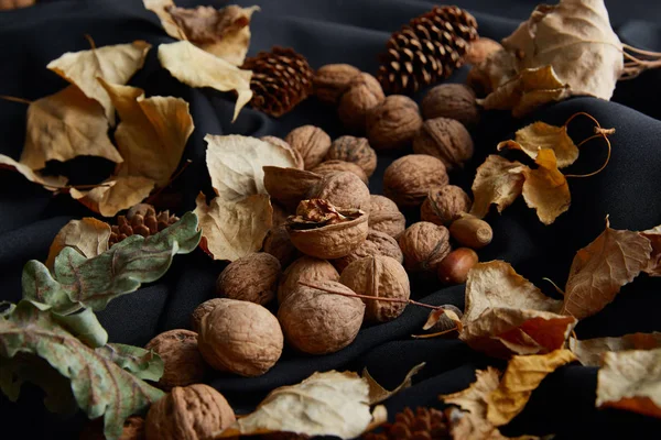 Kacang Kacangan Kerucut Dan Dedaunan Kering Pada Kain Hitam — Stok Foto