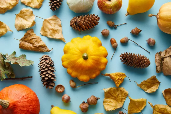 Ripe Whole Colorful Pumpkins Autumnal Decor Blue Background — Stock Photo, Image