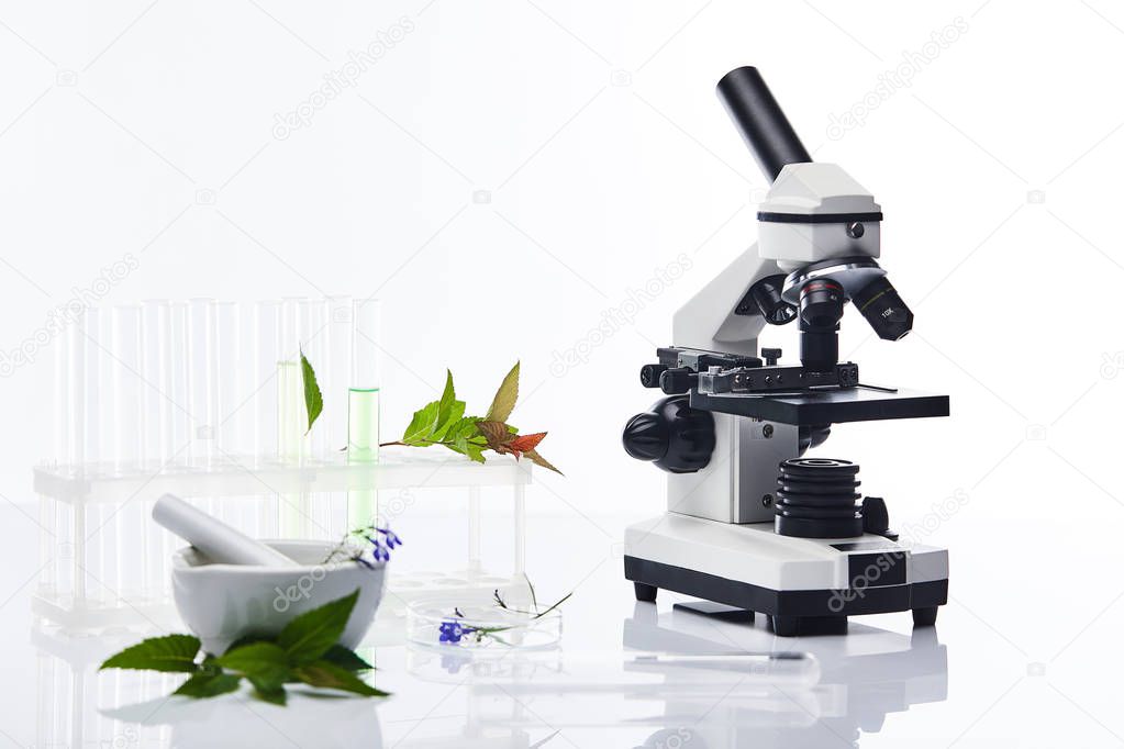 glass test tubes, mortar with pestle near plants and microscope isolated on white
