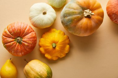 top view of ripe whole colorful pumpkins on beige background clipart