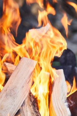selective focus of firewood with fire flames in grill clipart