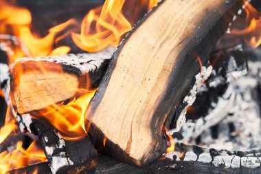 selective focus of firewood with fire flames in grill clipart