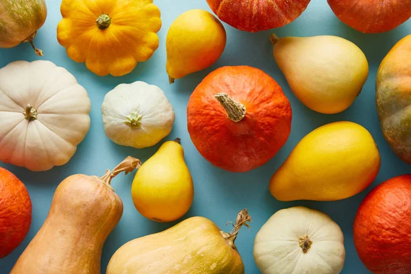 Calabazas Coloridas Enteras Maduras Sobre Fondo Azul — Foto de Stock