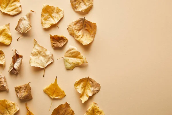 Bovenaanzicht Van Droog Goudkleurig Blad Beige Achtergrond Met Kopieerruimte — Stockfoto