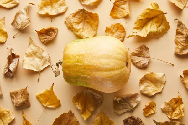 Bovenaanzicht Van Rijpe Hele Pompoen Met Droog Gouden Blad Beige — Stockfoto