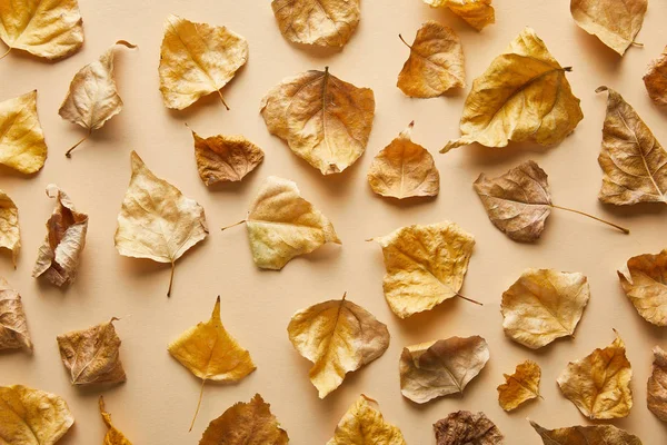 Vrchní Pohled Suché Zlaté Listí Béžovém Pozadí — Stock fotografie
