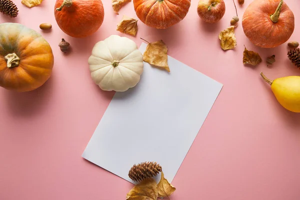 秋の装飾とピンクの背景に白い紙で全体のカラフルなカボチャを熟す — ストック写真