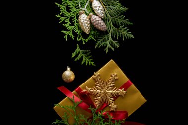 Parlak altın Noel süslemeleri, yeşil thuja dalları ve siyah üzerine izole edilmiş hediye kutusu.