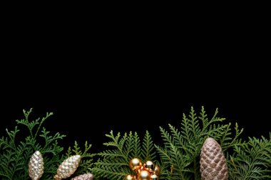 top view of shiny golden Christmas decoration, green thuja branches isolated on black with copy space clipart