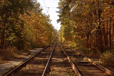 Sonbahar parkında sarı yapraklı ve yeşil tramvaylı ağaçlar 