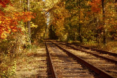 Sonbahar parkında sarı yapraklı ve yeşil tramvaylı ağaçlar 