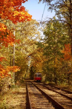 Sonbahar parkında sarı ve yeşil yapraklı ağaçlar ve tramvay. 