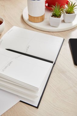 yeşil bitkiler, tahta yüzeyde kalemli defter