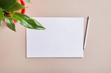 Yeşil bitkinin bej yüzeyi üzerinde kalem bulunan boş beyaz kağıdın üst görünümü
