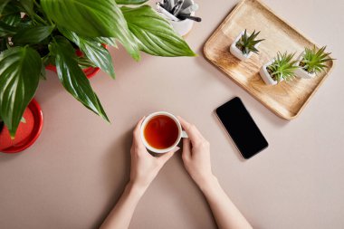 Akıllı telefonun yanındaki ahşap tahta üzerinde yeşil bitkilerin ve bej yüzey üzerinde bir fincan çayla kadın ellerinin üst görüntüsü.