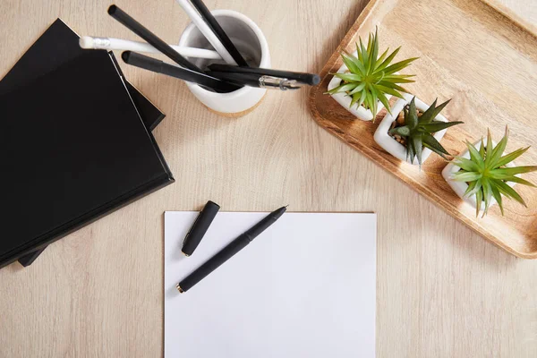 Top View Green Plants Black Notebooks Pencils Holder White Paper — Stock Photo, Image