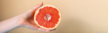 cropped view of female hand with juicy grapefruit half on beige background, panoramic crop clipart