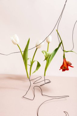 floral composition with white tulips and red Alstroemeria on wires isolated on beige clipart