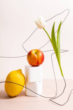 Çiçek ve meyve kompozisyonu. Kablo üzerinde lale ve bej üzerinde elma olan limon.