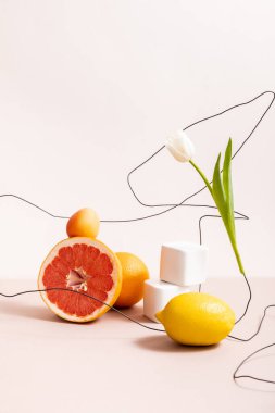 floral and fruit composition with tulip on wire and fruits on cubes isolated on beige clipart