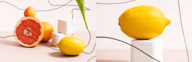 fruit composition with citrus fruits near cubes and wire isolated on beige, collage clipart