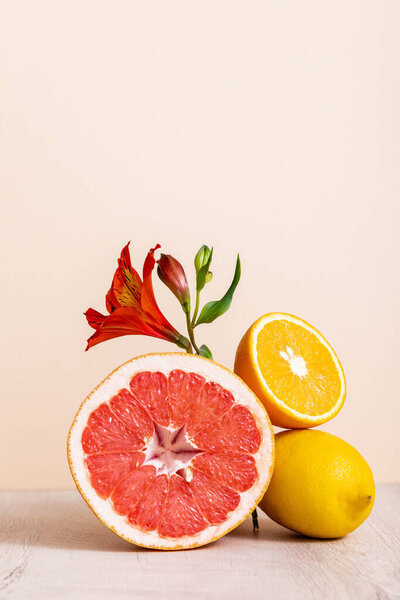 floral and fruit composition with red Alstroemeria and citrus fruits isolated on beige