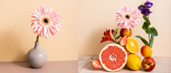 Koláž Růžové Gerbery Květinové Ovocné Složení Béžovém Pozadí — Stock fotografie