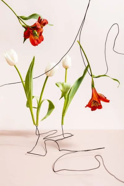用白色郁金香和红色紫红在米色隔离的金属丝上的花卉组合物 — 图库照片