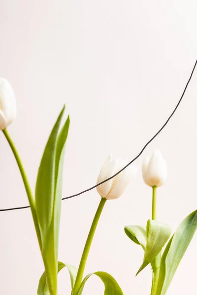 Blommig Sammansättning Med Vita Tulpaner Och Tråd Isolerad Beige — Stockfoto
