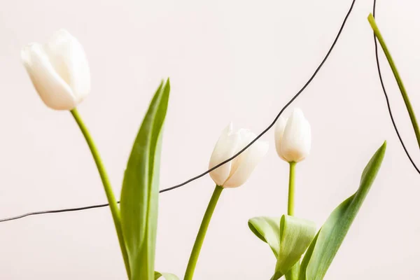 Florale Komposition Mit Weißen Tulpen Und Drähten Isoliert Auf Beige — Stockfoto