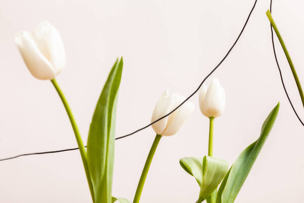 floral composition with white tulips and wires isolated on beige