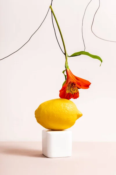 Composición Floral Frutal Con Alstroemeria Roja Sobre Alambre Limón Sobre — Foto de Stock