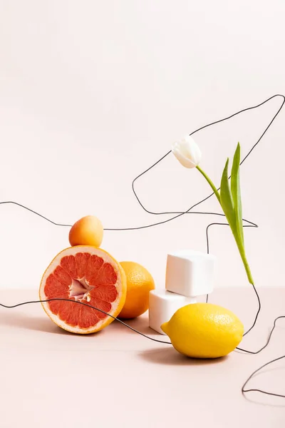 floral and fruit composition with tulip on wire and fruits on cubes isolated on beige
